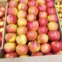реализуем яблоки  в Вологде и Вологодской области